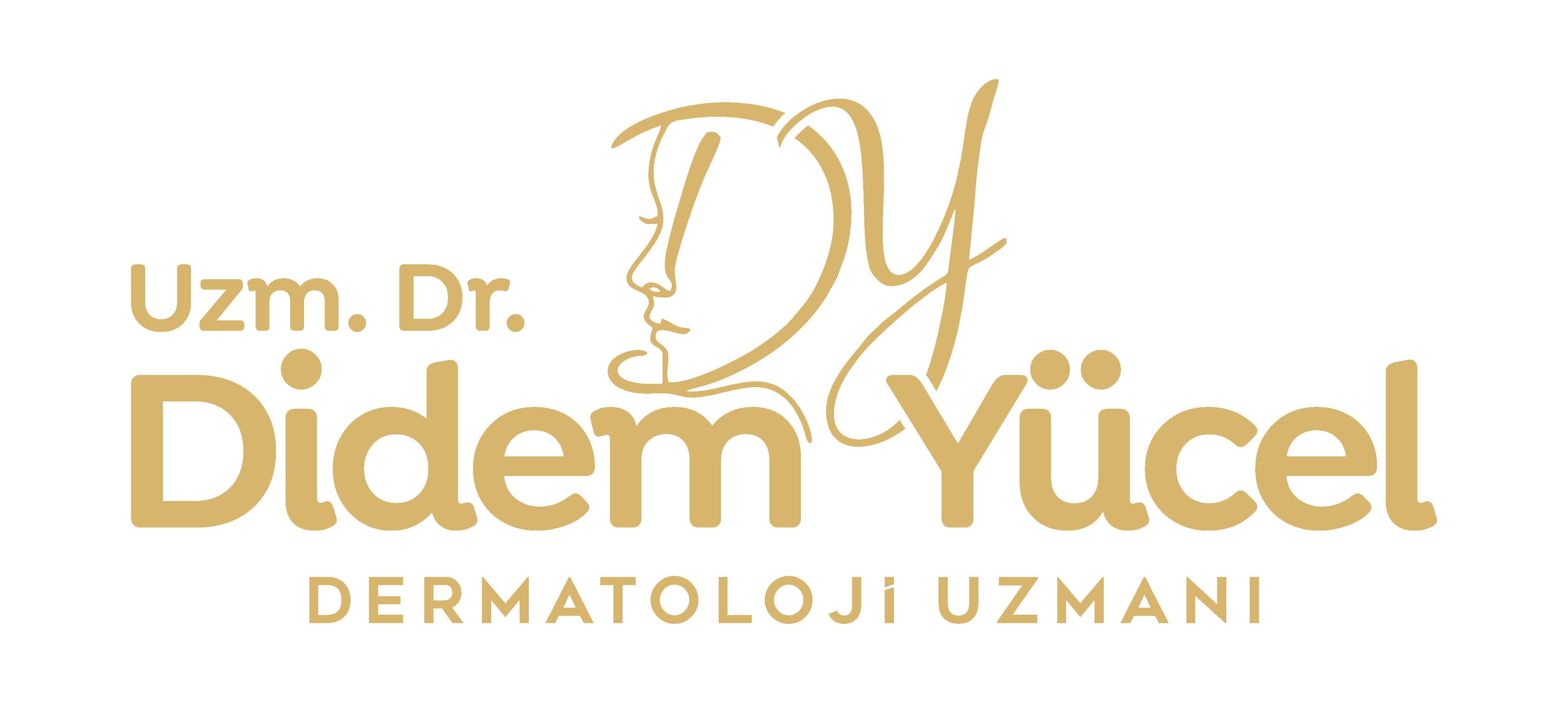 Didem Yücel Logo